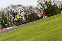 Middle Group Yellow Bikes